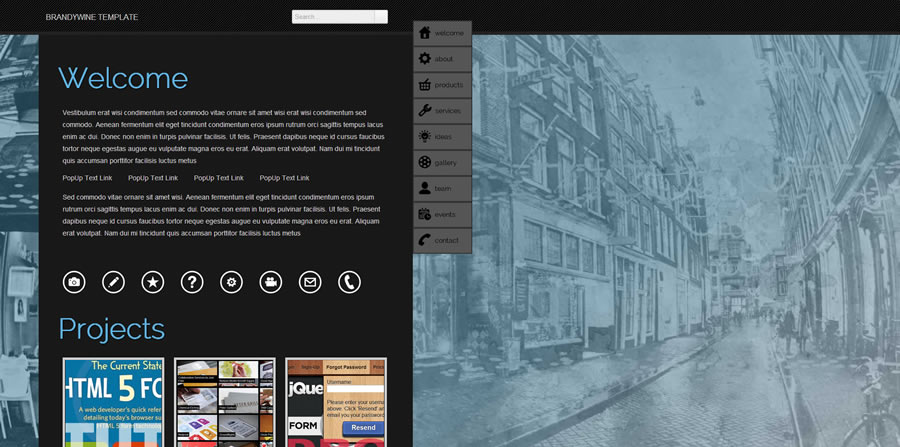 Professional Web Template Professional Web Template