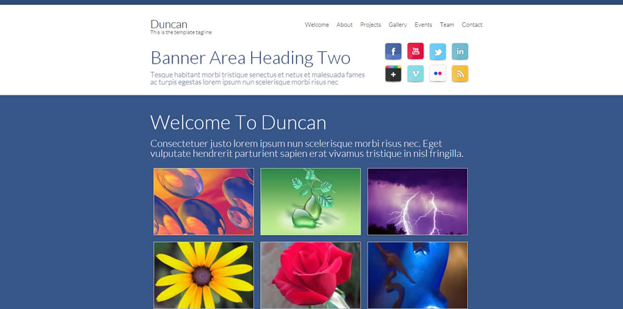 HTML Templates Quality and Easy To Use Web Templates that work great with Dreamweaver