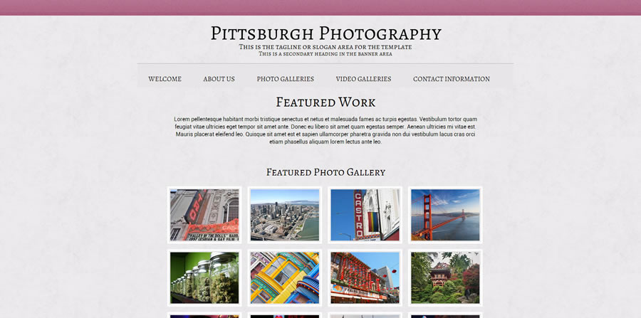 Professional Website Templates Professional Website Templates
